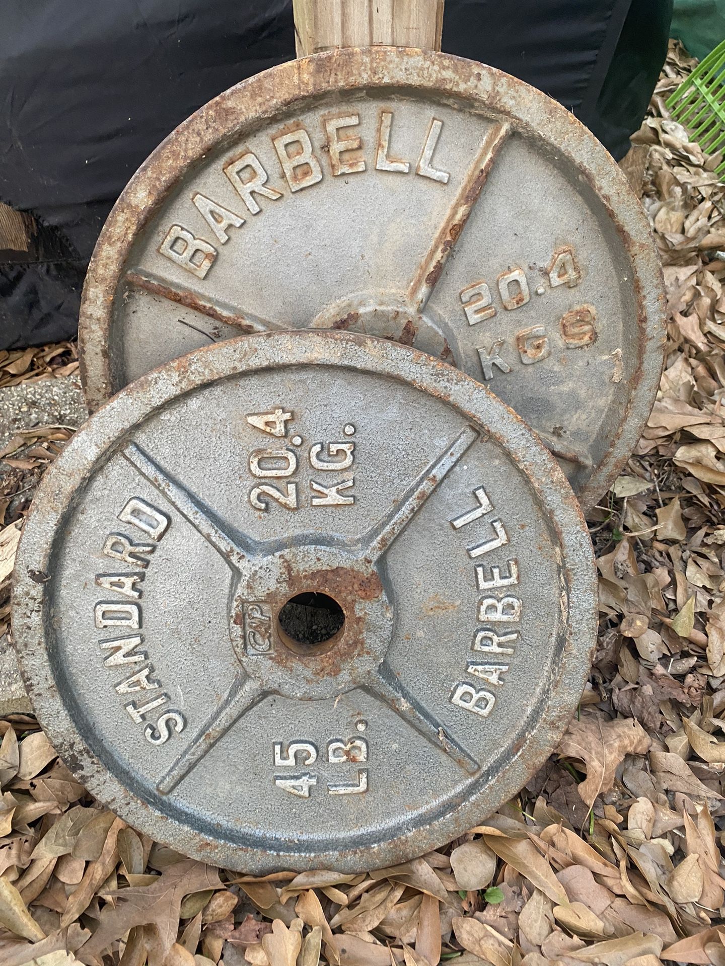 45lb Plates