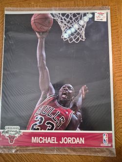 Michael Jordan NBA hoops 8 ×10