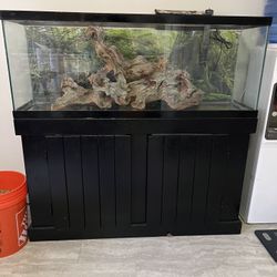 55gall Aquarium/stand/accessories.