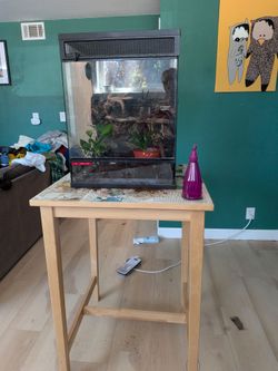 Lizard tank 24x 18