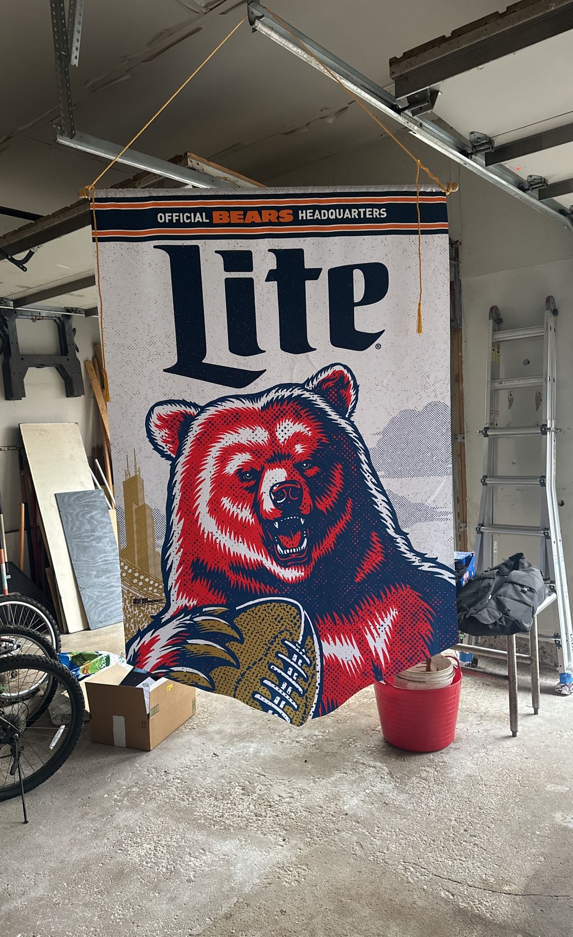 Chicago Bears And NHL Banners