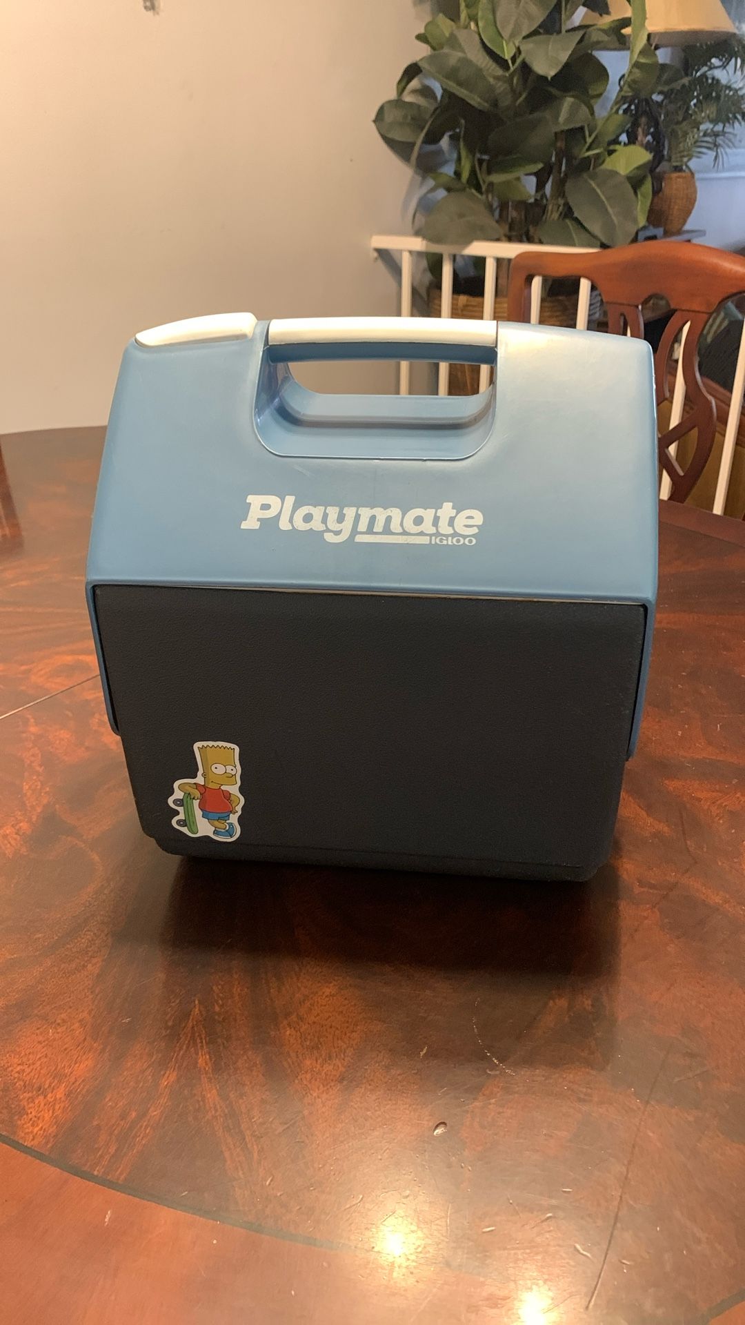 Personal Playmate Igloo Cooler