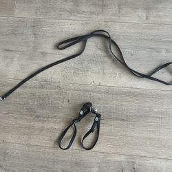 Free - Small Cat Harness and Leash