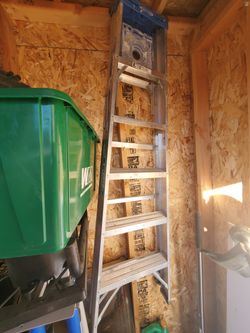 6" Ladder Werner