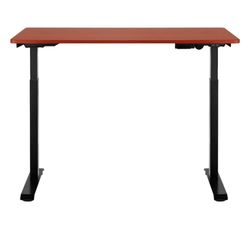 Insignia Mahogany Desk