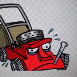 NON RUNNING GAS MOWERS 