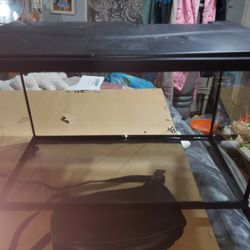 10 Gallon Aquarium