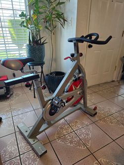 Sunny Exercise Bike