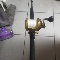 Fishing rod And Reel 
