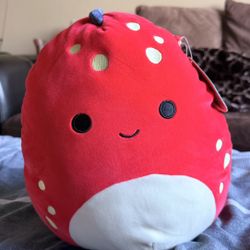 Dolan 12 Inch Squishmallow 