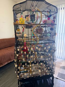 Large bird cage with all included