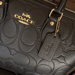 Coach Rowan Large Signature Look 