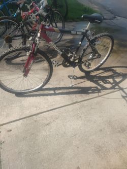 All the bikes work
