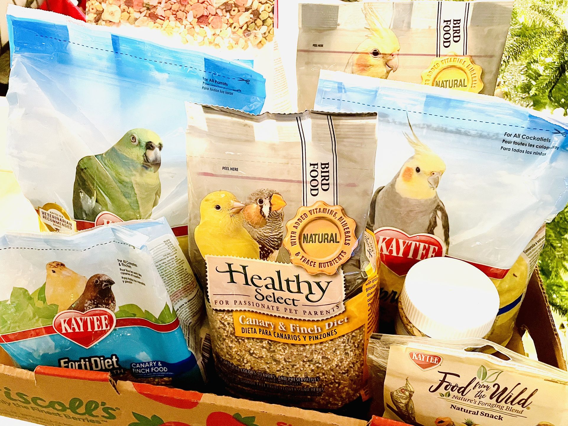 Bird Food