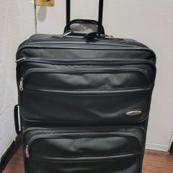 Upright Wheeled Carry-On, Dark Green