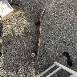 Skateboard Thunder Trucks Baker Board