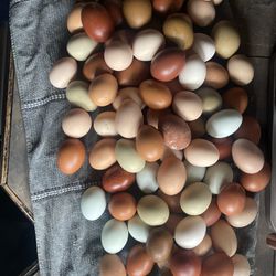 Farm Fresh Eggs 