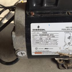 Pool/Spa pumps & Blower