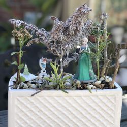$15 Frozen inspired Garden