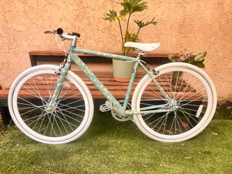 Brand New Bike ( Single Speed )