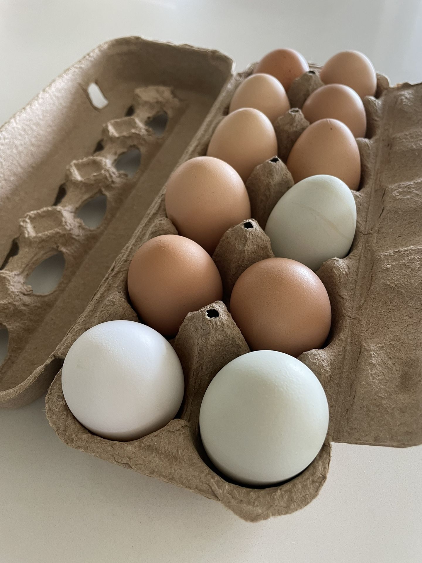 ORGANIC FREE RANGE EGGS