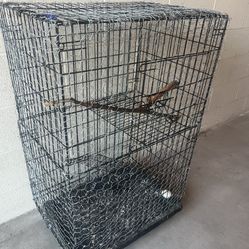 Bird Cage 