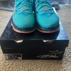 Nike LeBron 19 Polarized Blue Size 12