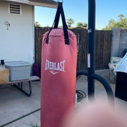 Punching Bag
