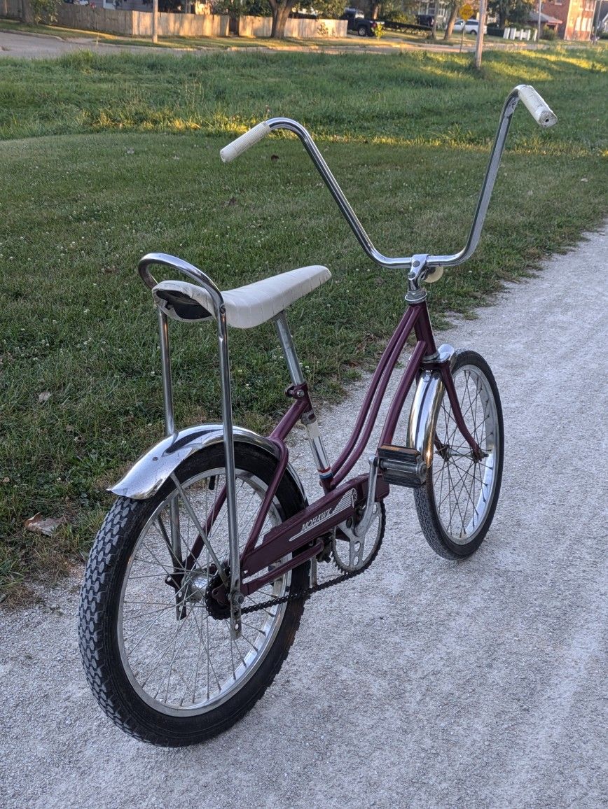 Vintage Banana Seat Bike