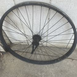 Beach Cruiser Back Rim