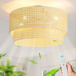 Ainqiant 20in Boho Caged Ceiling Fan With Lights N Remote 6speed Reverse Timer Open Box Like New 