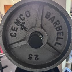 25lb Barbell Plates (pair)