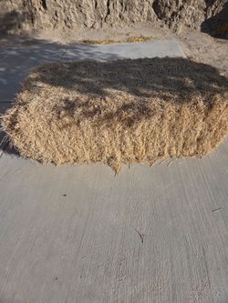 Hay