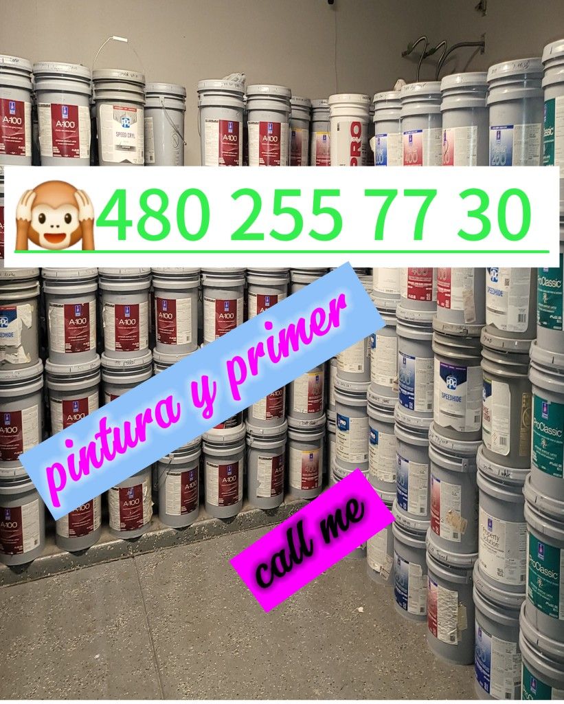 Paint Interior And Exterior