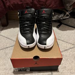 Playoff Jordan 12