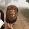 Lion.one love👍🏽