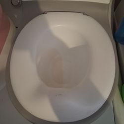 Potty Chairs 