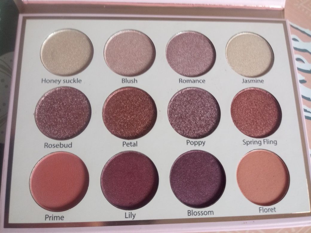 palette of shadows (eye bloom the beauty creations)... beautiful shades super cheap ..