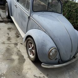 1965 Volkswagen Beetle