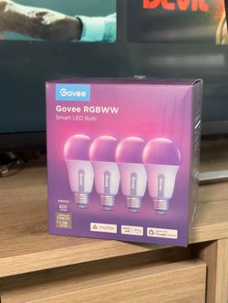 Govee lights