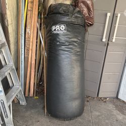 Pro Punching Bag 