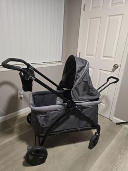 Baby Trend Tour LTE 2-in-1 Stroller Wagon