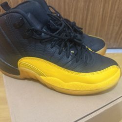 Jordan 12 Gold University
