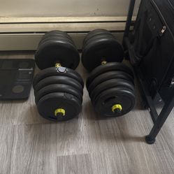 dumbells
