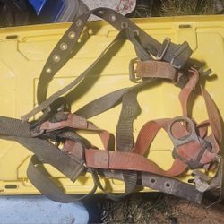 Spider Safety harness