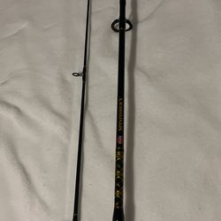 10ft Penn Spinfisher V Pier/Surf Fishing Rod