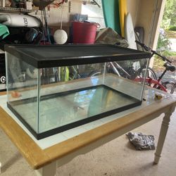 Fish Tank Or Reptile Enclosure