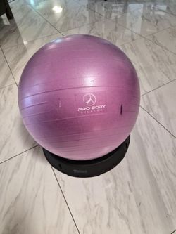 Pink Pilates Exercise Ball with Stand / Pelota de Pilates Rosada con Base