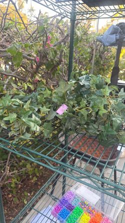 Artificial Ivy Vine Garland