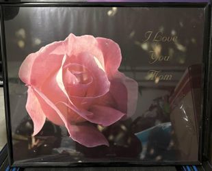 Beach And Rose Pictures With Plastic Frames
